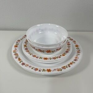 ARCOPAL Scania Vintage Set of 6 Plates And Bowls Collection 1970s Made in France